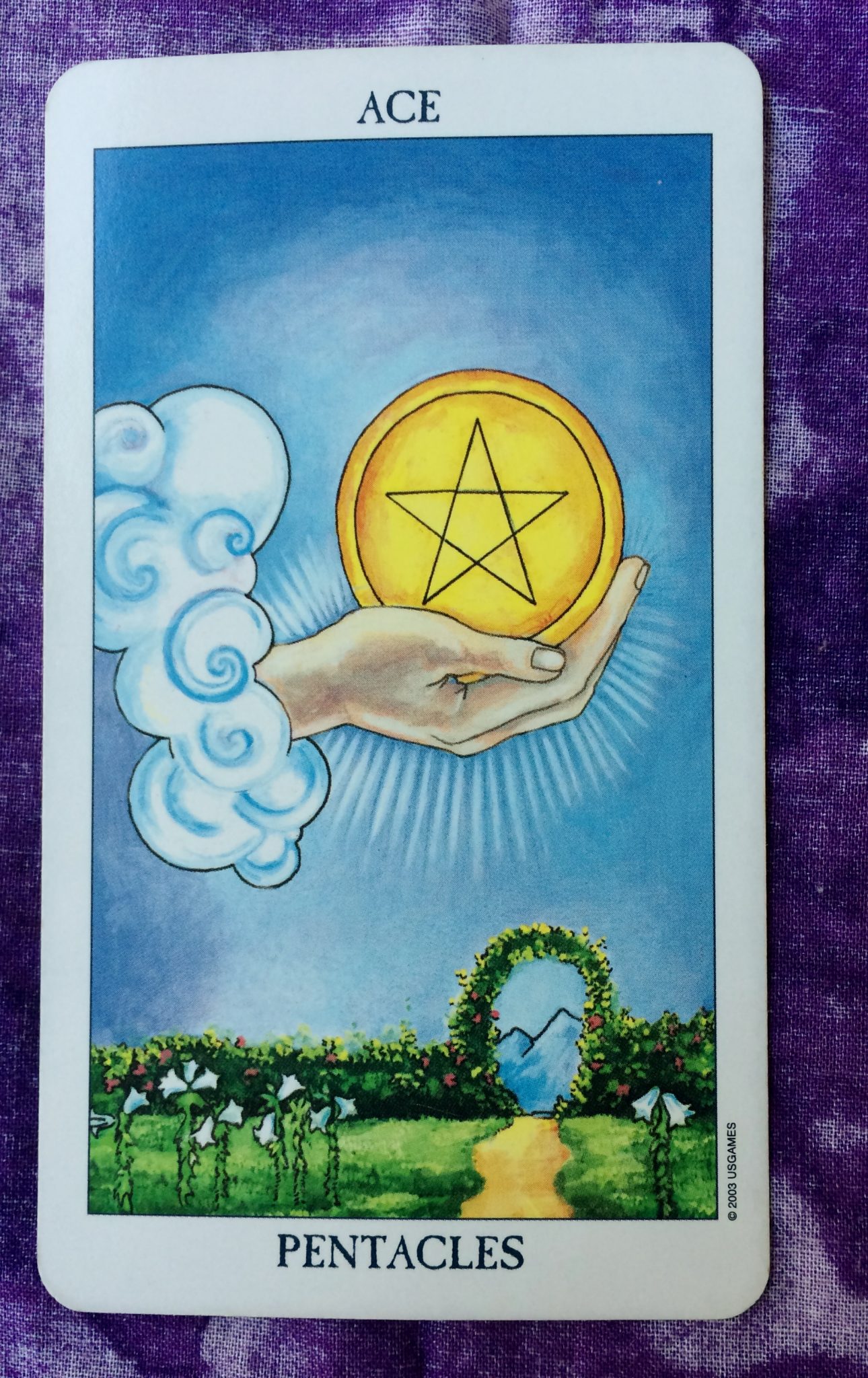 Ace of pentacles картинка